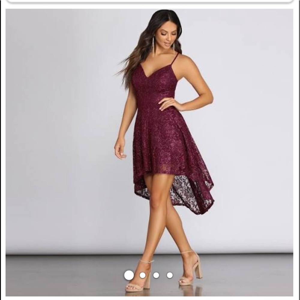 Windsor glimmer and shimmer lace skater dress